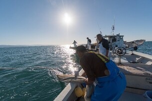 機船船引き網漁業操業風景