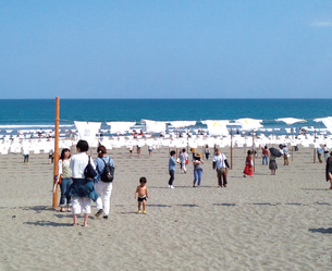 Tシャツアート展