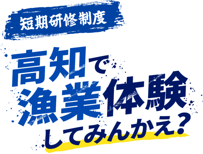 【短期研修制度】高知で漁業体験してみんかえ?